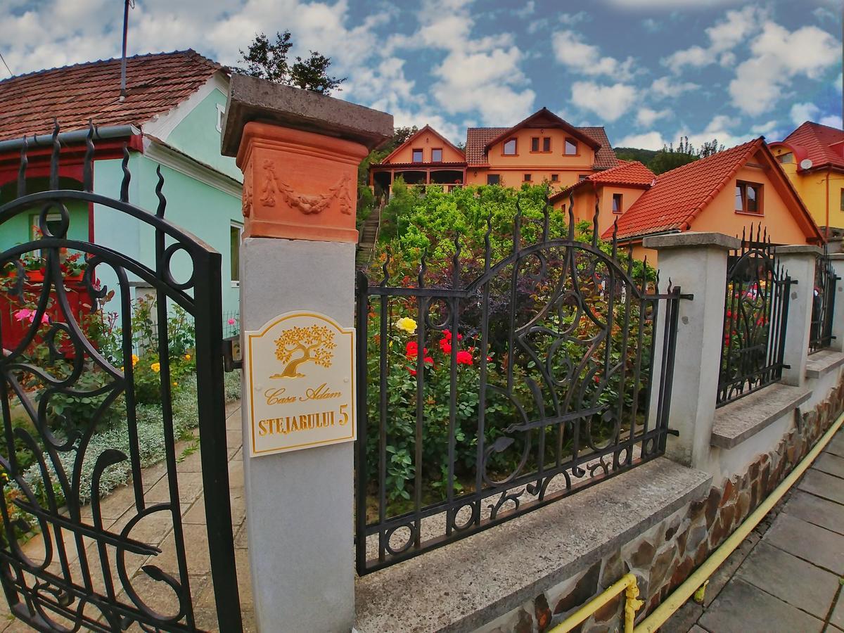 Casa Adam Ξενοδοχείο Σιγκισοάρα Εξωτερικό φωτογραφία