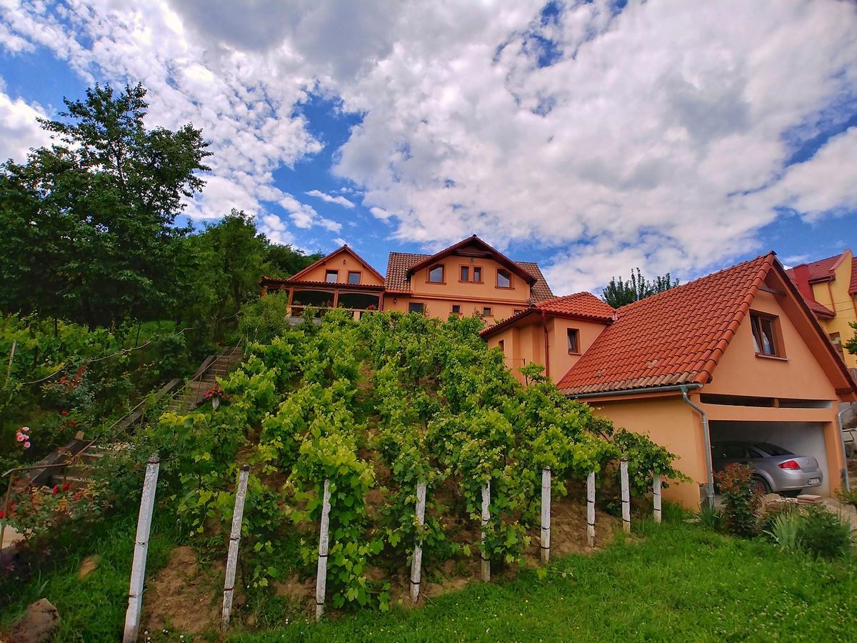 Casa Adam Ξενοδοχείο Σιγκισοάρα Εξωτερικό φωτογραφία