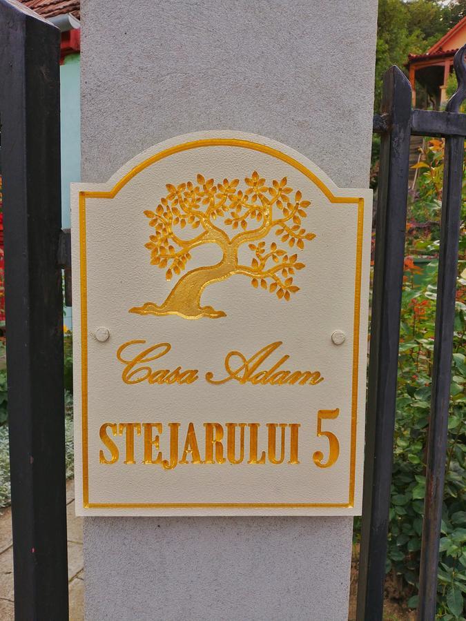 Casa Adam Ξενοδοχείο Σιγκισοάρα Εξωτερικό φωτογραφία